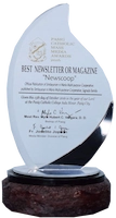 Simbayanan Best Newsletter or Magazine